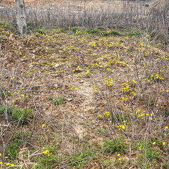 23-03-17 13-40-17 4909